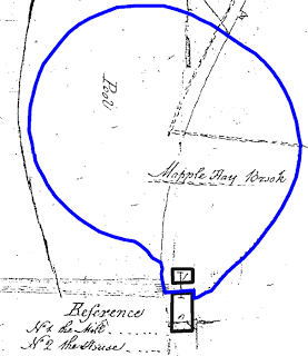 map of the mill pond 1791