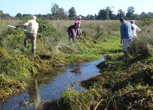 Stream clearing