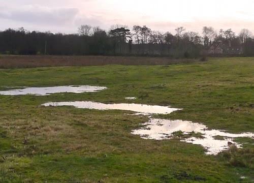 A water logged Pipe Green