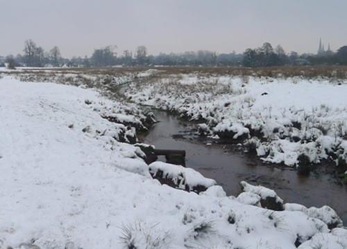 Pipe Green covered by snow