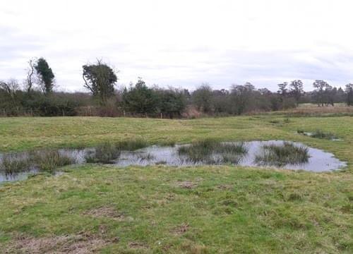 standing water