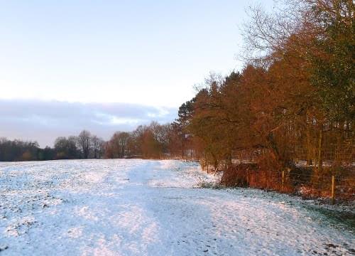 winter scene on Pipe green