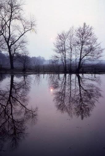 Leomansley pond 1981
