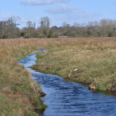 Leomansley brook