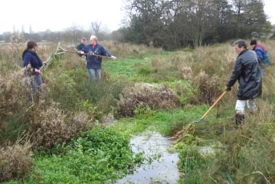 Work party clearing stream