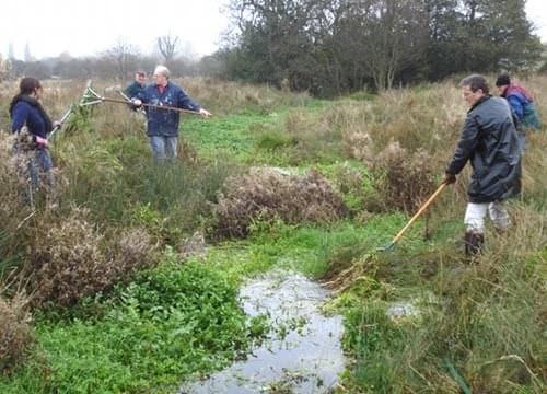 Leomansley brook stream clearing